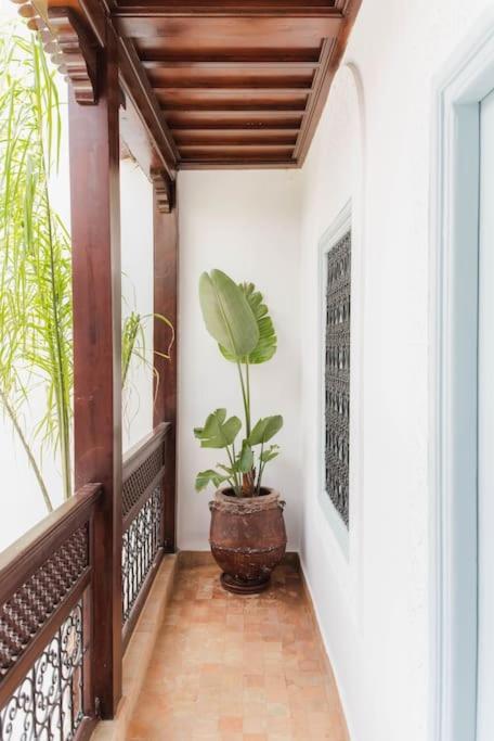 Riad Vivre - Design Boutique Riad In Marrakech Marrakesh Ngoại thất bức ảnh